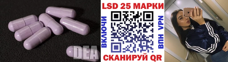 Купить закладки  Новокузнецк  Лсд 25 экстази кислота 