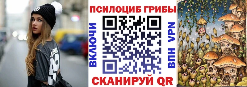 Псилоцибиновые грибы GOLDEN TEACHER  Купить где  Новокузнецк 
